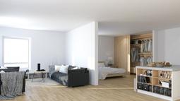 dnevna s spalnico.jpeg