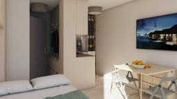 predsoba in kjuhinja v garsonjeri