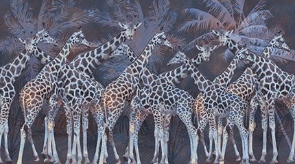 modra žirafe v savani tapeta